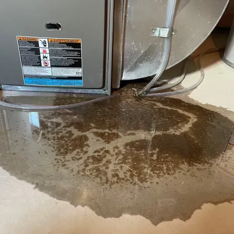 Appliance Leak Cleanup in Sturgis, KY